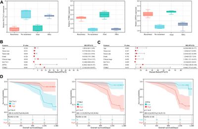 Construction and validation of a novel ferroptosis-related signature for evaluating prognosis and immune microenvironment in ovarian cancer